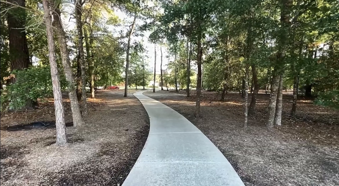 Concrete walking trail curving through a pine wooded park