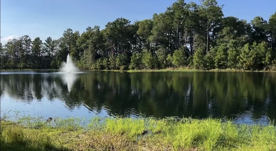 Fountain on a tree lined lake in Spring, Texas